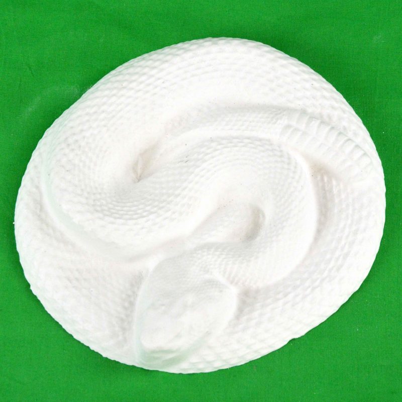 Plaster Painting Piece - Coiled Snake - 20cm x 20cm