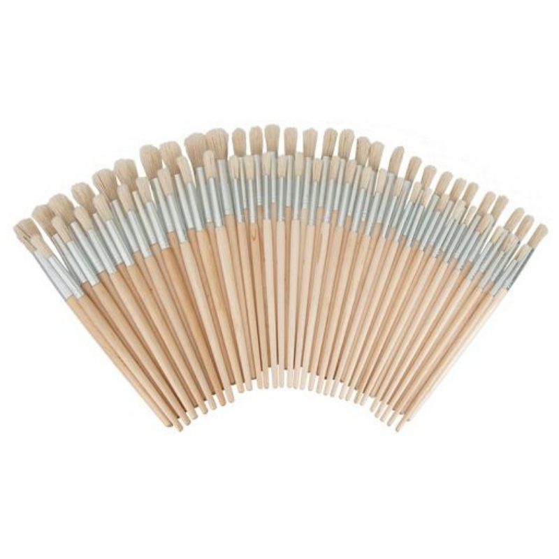 Hog hair brushes assorted round pack of 60