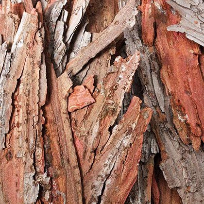 Pieces of Bark 250g Natural