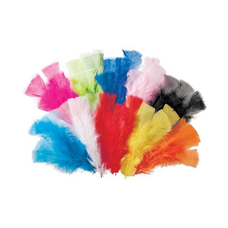 Feathers 60g Assorted Colours