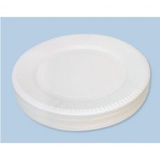 paper plate white 23CM craft