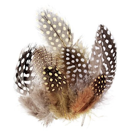 Guinea Fowl Feathers 10g - approximately 100 feathrs in each pack